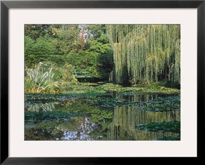 Claude Monet's Garden Pond In Giverny, France by Charles Sleicher Pricing Limited Edition Print image