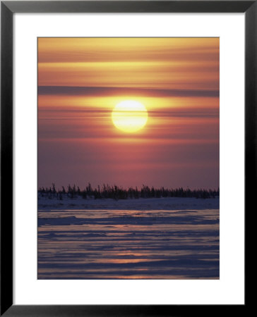A Dramatic Golden Sunset Over A Snowy Landscape by Norbert Rosing Pricing Limited Edition Print image