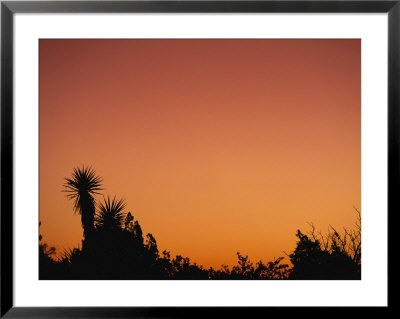 A Desert Sunset Turns The Sky Orange by Stephen Alvarez Pricing Limited Edition Print image