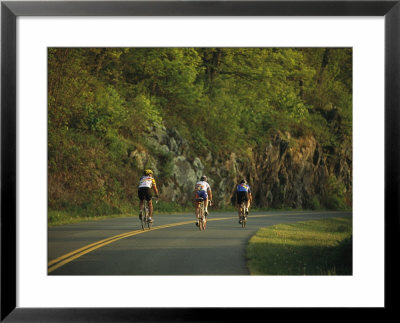 Cycling On The Blue Ridge Parkway by Raymond Gehman Pricing Limited Edition Print image