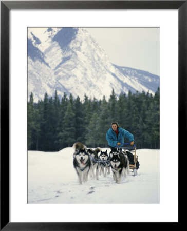 A Woman Driving A Dogsled In A Forest by Dugald Bremner Pricing Limited Edition Print image