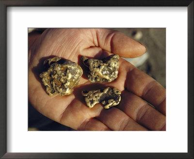 Gold Nuggets Mined In Alaska by George F. Mobley Pricing Limited Edition Print image
