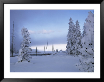 West Thumb Geyser Basin With Yellowstone Lake In The Background by Raymond Gehman Pricing Limited Edition Print image