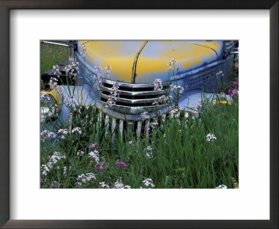 Old Truck With Money Plant In Palouse Area, Eastern Washington, Usa by Darrell Gulin Pricing Limited Edition Print image