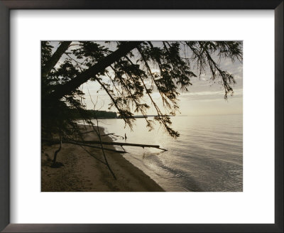 A View Of The Shoreline In The Apostle Islands by Raymond Gehman Pricing Limited Edition Print image