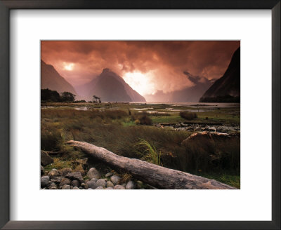 Milford Sound, Fiordland, South Island, New Zealand by Doug Pearson Pricing Limited Edition Print image