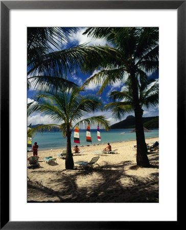 Beach At Catseye Bay On The Great Barrier Reef,Hamilton Island, Queensland, Australia by Richard I'anson Pricing Limited Edition Print image
