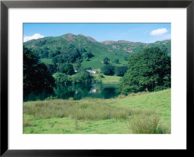 Loughrigg Tarn, Cumbria, Uk by Ian West Pricing Limited Edition Print image