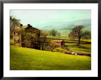 In The Yorkshire Dales by Jody Miller Pricing Limited Edition Print image