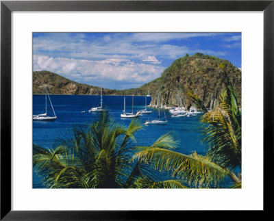 Guadeloupe, French Antilles, Caribbean, West Indies by Sylvain Grandadam Pricing Limited Edition Print image