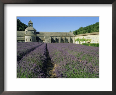 Rows Of Lavender At The Abbaye De Senanque, Vaucluse, Provence, France, Europe by Bruno Morandi Pricing Limited Edition Print image