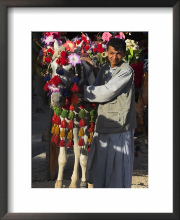 Driver With His Colourful Horse Cart, Maimana, Faryab Province, Afghanistan by Jane Sweeney Pricing Limited Edition Print image