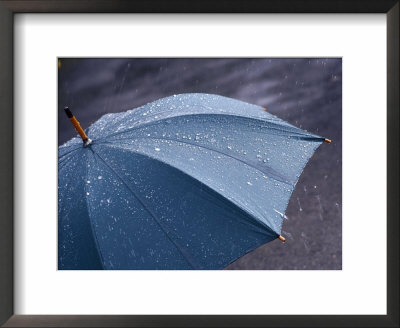 Rain Falling On An Umbrella by Mark Mawson Pricing Limited Edition Print image
