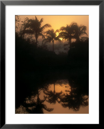 Foggy Pond Sunrise, Usa by Stan Osolinski Pricing Limited Edition Print image