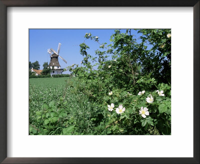 Egeskov Mill, Funen, Denmark, Scandinavia by Adam Woolfitt Pricing Limited Edition Print image