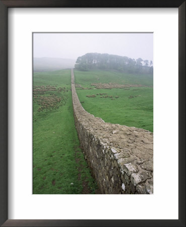 Hadrian's Wall, Unesco World Heritage Site, Northumberland, England, United Kingdom by Julian Pottage Pricing Limited Edition Print image