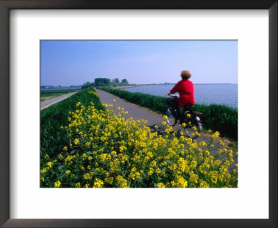 Woman Cycling Atop Polder Dike, Netherlands by John Elk Iii Pricing Limited Edition Print image