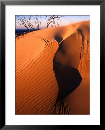 Sand Dune On Tarkine Coast, Tarkine, Australia by Paul Sinclair Pricing Limited Edition Print image
