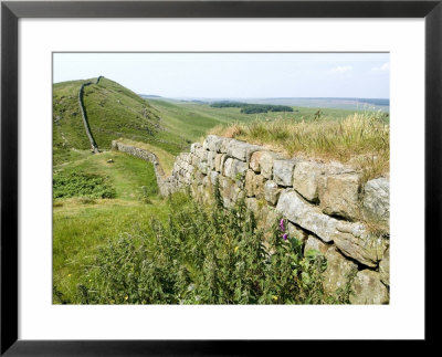 Hadrian's Wall, Near Housesteads, Unesco World Heritage Site, Northumberland, England by Ethel Davies Pricing Limited Edition Print image