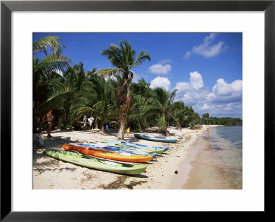 Beach With Palm Trees And Kayaks, Punta Soliman, Mayan Riviera, Yucatan Peninsula, Mexico by Nelly Boyd Pricing Limited Edition Print image