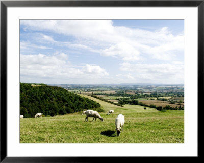 The Stour Valley From Windmill Hill, Warwickshire, England by Martin Page Pricing Limited Edition Print image
