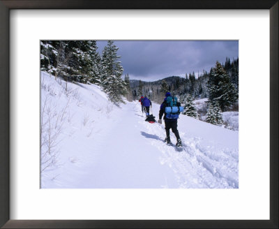 Winter Hiking In The Tushar Mountains, Capitol Reef National Park, Utah, Usa by Cheyenne Rouse Pricing Limited Edition Print image
