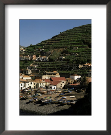 Camara De Lobos, Madeira, Portugal by G Richardson Pricing Limited Edition Print image