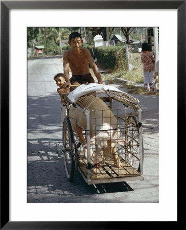Man Transporting His Pig On A Tricycle, Langkawi Island, Malaysia, Southeast Asia by Claire Leimbach Pricing Limited Edition Print image