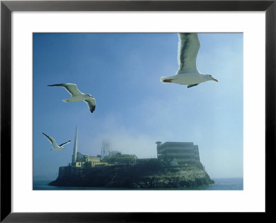 Alcatraz Prison, California, Usa by John Downer Pricing Limited Edition Print image