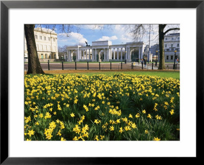 Daffodils In Hyde Park Near Hyde Park Corner, London, England, United Kingdom by Roy Rainford Pricing Limited Edition Print image