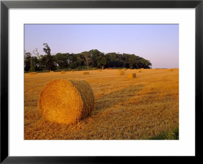 Hay Bales, Suffolk, England, Uk, Europe by John Miller Pricing Limited Edition Print image