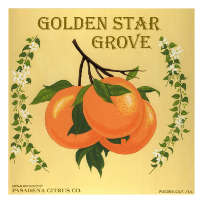 Golden Star by Elizabeth Garrett Pricing Limited Edition Print image