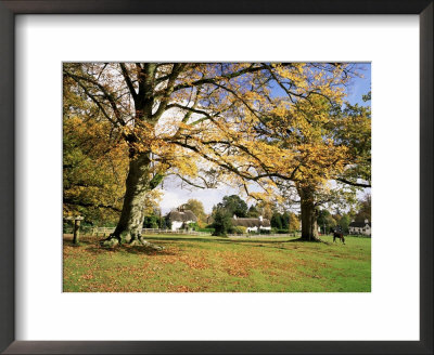 Cottages At Lyndhurst, New Forest, Hampshire, England, United Kingdom by Roy Rainford Pricing Limited Edition Print image
