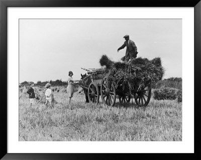 Three Children Helping Their Farmer Father To Bring In The Hay By Horse And Cart by Staniland Pugh Pricing Limited Edition Print image