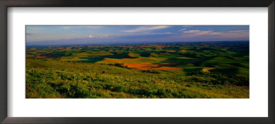 Fields And Wildflowers, Palouse Country, Eastern by Christopher Jacobson Pricing Limited Edition Print image