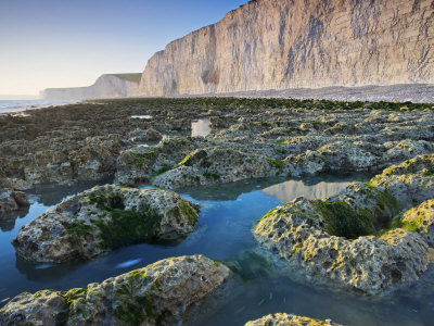Rockpools Below White Chalk Cliffs Of Birling Gap, East Sussex, England by Adam Burton Pricing Limited Edition Print image