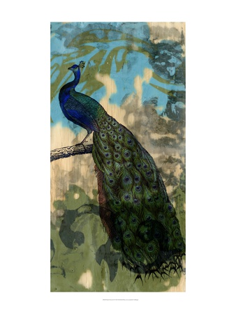 Rustic Peacock Ii by Jennifer Goldberger Pricing Limited Edition Print image