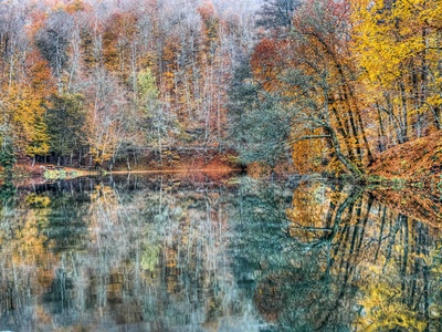 Autumn Reflections Ii by Nejdet Duzen Pricing Limited Edition Print image