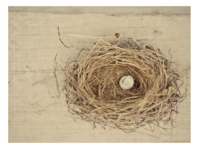 Nesting Iii by Meghan Mcsweeney Pricing Limited Edition Print image