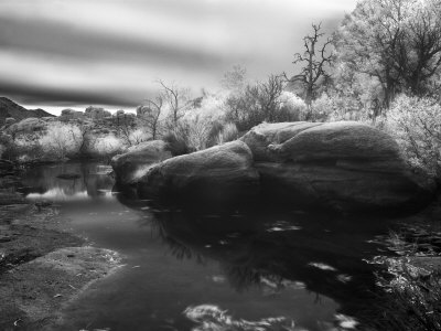 Rocks And Trees At Barker Dam In Joshua Tree National Park by Images Monsoon Pricing Limited Edition Print image
