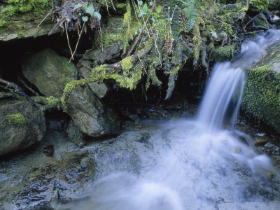 Small Waterfall Drops In Shakerag Hollow by Stephen Alvarez Pricing Limited Edition Print image