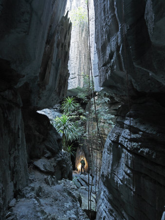 Limestone Pinnacles With Caves And Canyons In The Grand Tsingy by Stephen Alvarez Pricing Limited Edition Print image