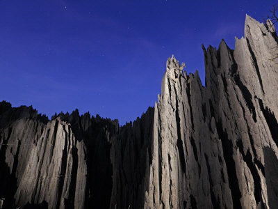 Limestone Pinnacles Of The Tsingy De Bemaraha by Stephen Alvarez Pricing Limited Edition Print image