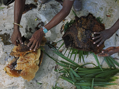 Local People Collect Honey In The Tsingy by Stephen Alvarez Pricing Limited Edition Print image