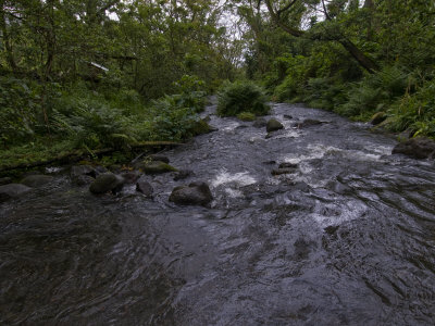 Driving Across A River In The Waipi'o Valley by Todd Gipstein Pricing Limited Edition Print image