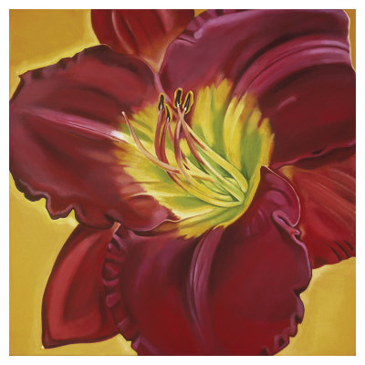 Red Day Lily I by Roberta Aviram Pricing Limited Edition Print image