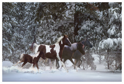 Snowy Runners by Steve Hunziker Pricing Limited Edition Print image