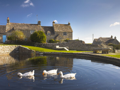 Duckpool In Worth Matravers Village Green, Dorset, England, United Kingdom, Europe by Adam Burton Pricing Limited Edition Print image