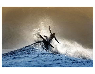 All Fins Out by Steve Munch Pricing Limited Edition Print image