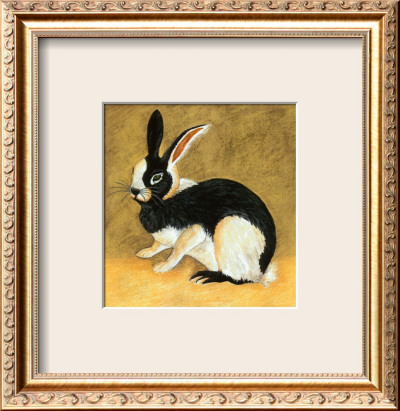 Black And White Bunny Ii by Albrecht Dürer Pricing Limited Edition Print image